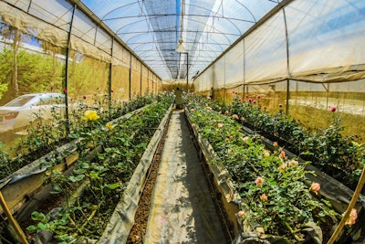 Fish Eye Photography Of Gardens 736779