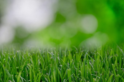 Nature Garden Grass Lawn 9257