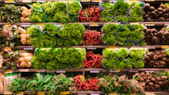 The safety in food transportation means safety for grocery customers.
