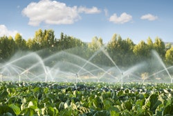 The complexity of the food and ag supply chain makes agtech innovation challenging, but also exciting.