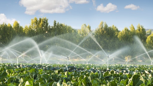 The complexity of the food and ag supply chain makes agtech innovation challenging, but also exciting.
