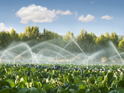 The complexity of the food and ag supply chain makes agtech innovation challenging, but also exciting.
