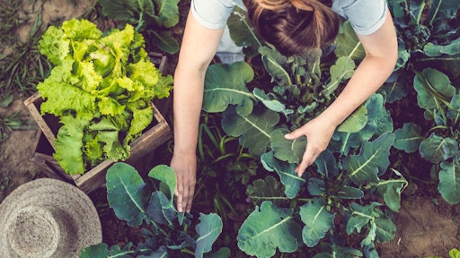 Getty Images 914906098 Gardening
