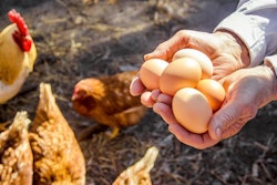 814bf5de 8a99 486e Baaa Ca465fee6b9e