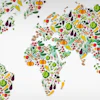 Global Food Sc
