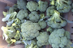 Lisa Johnson Consulting Surplus Broccoli