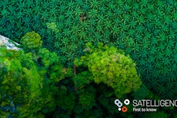 Satelligence Branding Pic