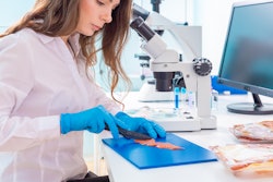 Adobe Stock 294162256