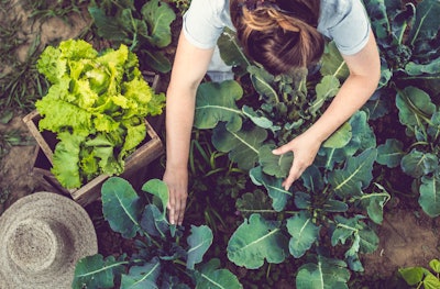 Getty Images 914906098 Gardening
