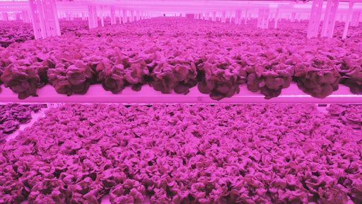 Kalera Vertical Farming