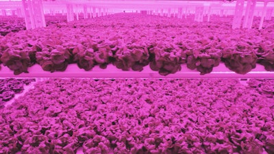 Kalera Vertical Farming