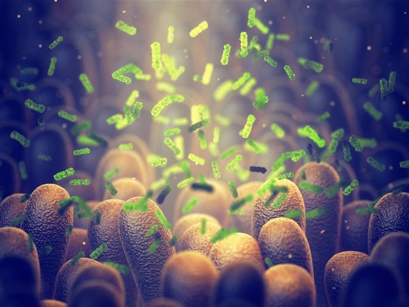 Food Processors Push Food Enzyme Market Ahead | Food Logistics