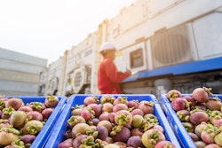 Sea Cube Cold Chain Trends