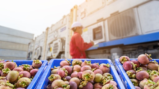 Sea Cube Cold Chain Trends