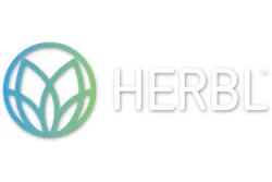 Logo Shadow