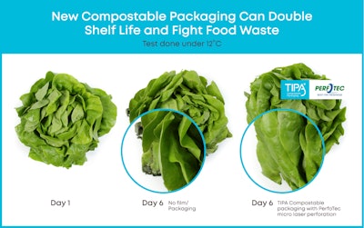 Tipa Perfotec Lettuce