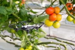 Technology tools and solutions will help companies shift focus from one-off checks to continuous monitoring and improved visibility of the whole supply chain.