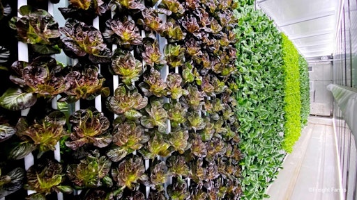 Freight Farms Greenery S