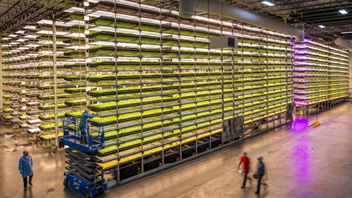 Aero Farms Farms