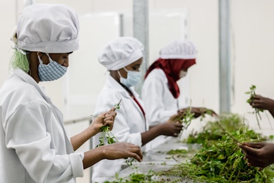 The biggest challenge for building sustainable food supply chains is building the linkage and dialogue between the different key members of the supply chain, for instance between farmers and their buyers and customers.