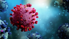 Adobe Stock 333039083