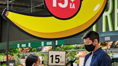 Factoria Produce Bananas
