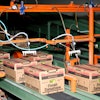 Innovation and optimization of end-of-line packaging and logistics operations provides a critical opportunity to benefit the whole supply chain.