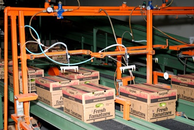 Innovation and optimization of end-of-line packaging and logistics operations provides a critical opportunity to benefit the whole supply chain.
