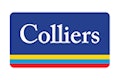 Logo Footer