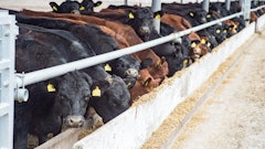 Microsoft Teams Image