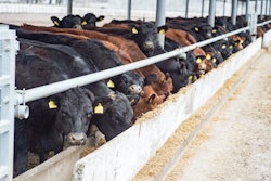 Microsoft Teams Image