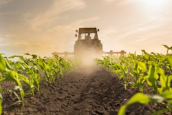 Microsoft Teams Image (1)