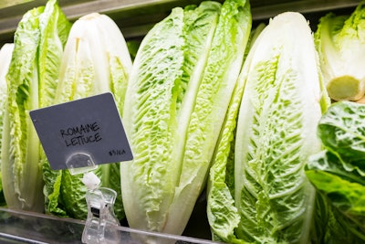 Stock Romaine Lettuce
