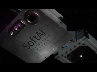 Soft Robotics Soft Ai