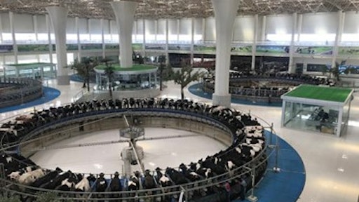 Modern dairy farm in China.