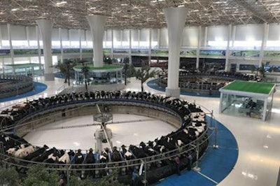 Modern dairy farm in China.