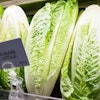 Stock Romaine Lettuce