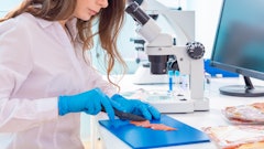 Adobe Stock 294162256