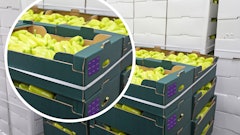 Cold Chain Management In Situ