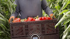 Wiliot Transport Item