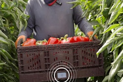 Wiliot Transport Item