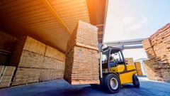 Romaset Stock adobe com (2)