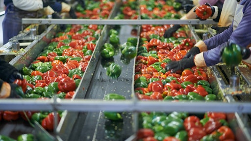 Vaisala Hands On On Factory Floor Peppers