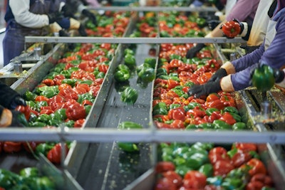 Vaisala Hands On On Factory Floor Peppers