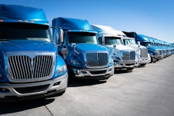 Growing fleets simply because demand was high could cause problems in the future.
