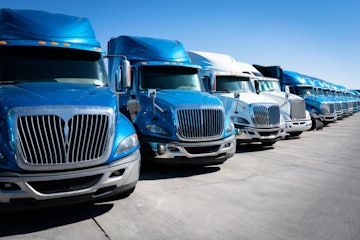 Growing fleets simply because demand was high could cause problems in the future.
