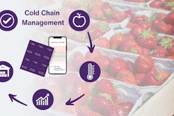 Fl Q4 Campaign Option 4 (5)