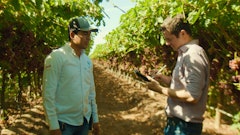 Produce Pay In Farm)