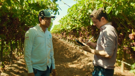 Produce Pay In Farm)