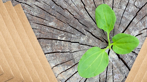 Ruslan Khismatov Adobe Stock 409882644